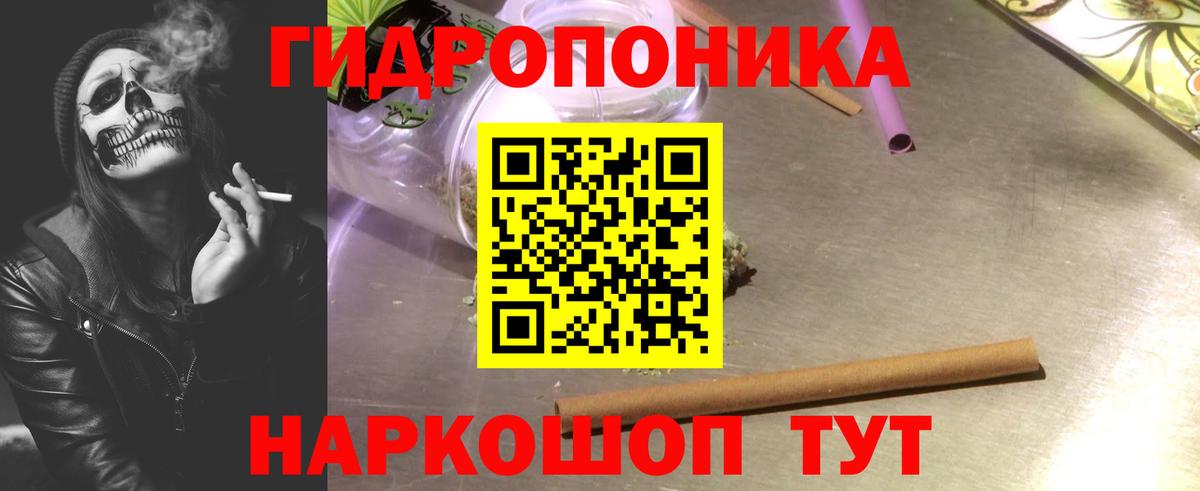 Каннабис OG Kush Чита